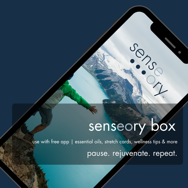 + senseory box